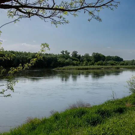 Cozy Tiny Container House By The River Danube * Bős