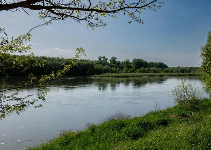 Cozy Tiny Container House By The River Danube * Gabcikovo